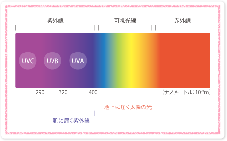 紫外線の種類
