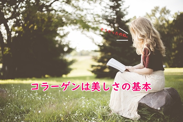 草原で本を読む女性